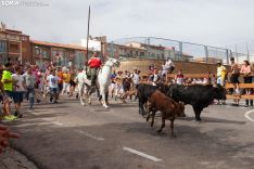 Foto 9 - Recordando San Juan: La Saca 2019, imágenes y crónica rápida  