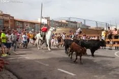 Foto 9 - Recordando San Juan: La Saca 2019, im&aacute;genes y cr&oacute;nica r&aacute;pida  