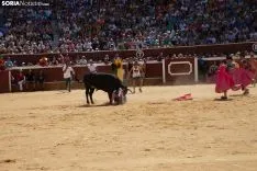 Viernes de Toros / María Ferrer 