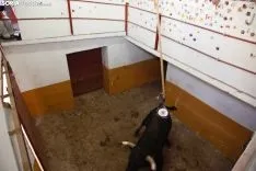 Viernes de Toros / María Ferrer 