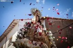 Virgen de los Milagros / María Ferrer