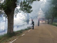 Los bomberos interviniendo en las inmediaciones del río en la capital este lunes. /Ayto