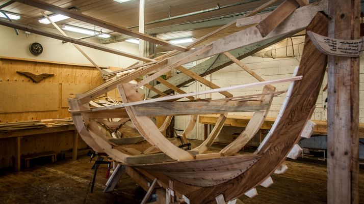 El Cesefor, en un proyecto para lograr el sello de calidad del pino marítimo