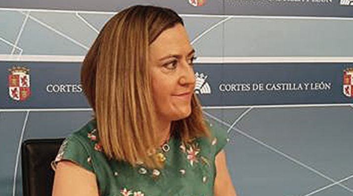 Virgina Barcones en una comparecencia de prensa. 