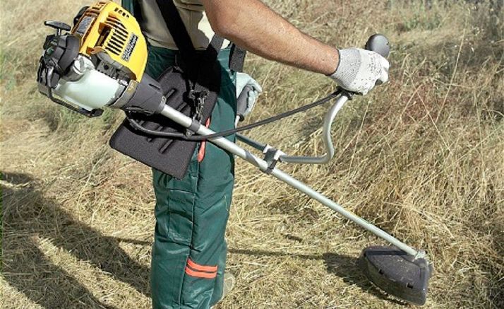 Comienzan los trabajos de las brigadas forestales provinciales  