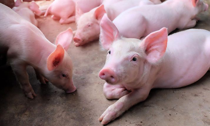 INTERPORC se une a la iniciativa #2019WDCD como participante del Pacto Mundial de la ONU 