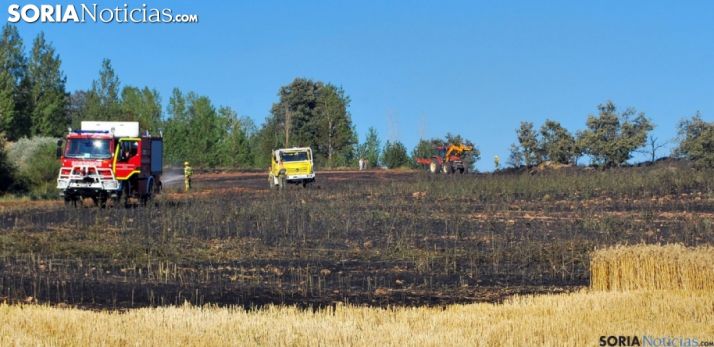 Comienza el periodo de peligro alto de incendios forestales, en medio de la ola de calo