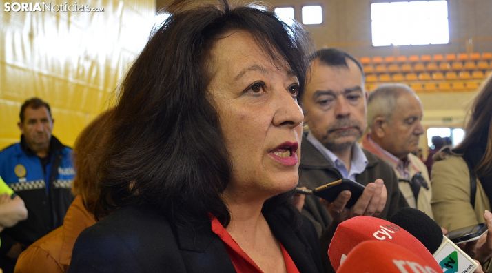 Lourdes Andrés, concejala responsable de Seguridad Vial. /SN
