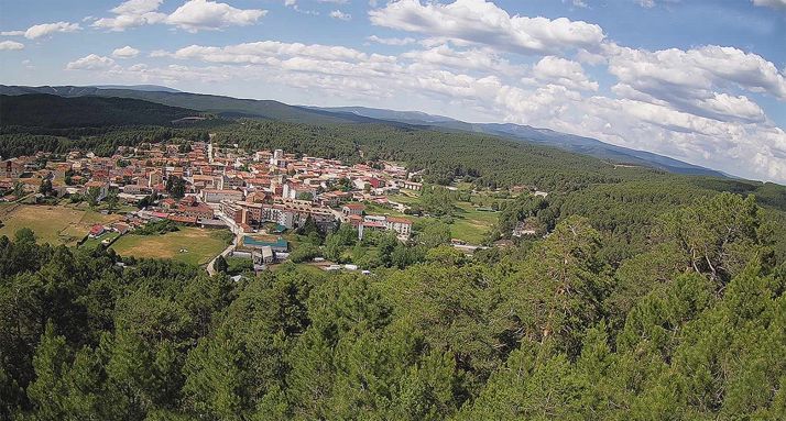 Pinares alrededor de Navaleno. 