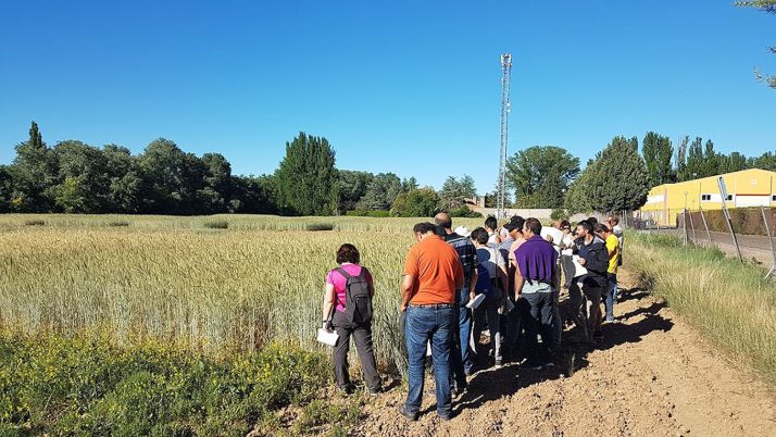 Visita a los campos de experimentación de la Escuela Universitaria de Ingeniería Agrícola de Valladolid (INEA) el pasado 31.