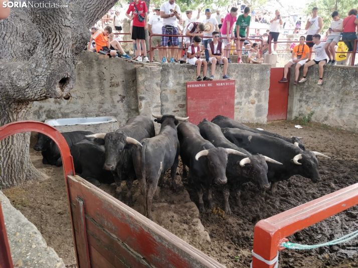 La Saca 2019. SN