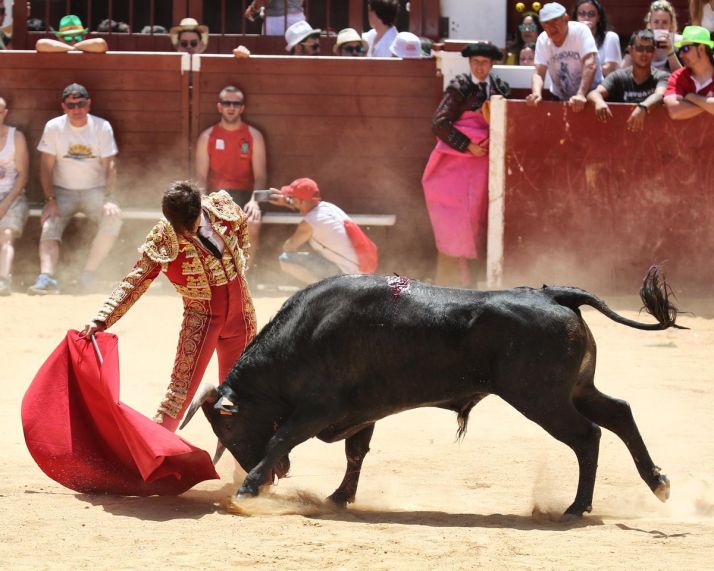 Primera novillada del Viernes de Toros. Tauroemoción 
