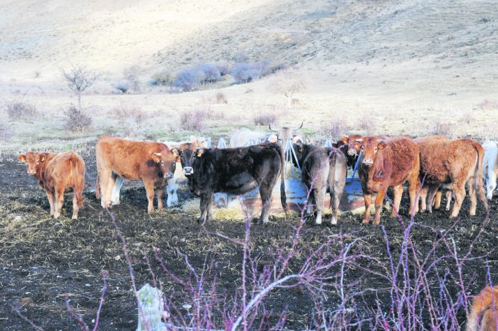 Nuevo convenio del sector Agrícola-Ganadero para más de 600 trabajadores