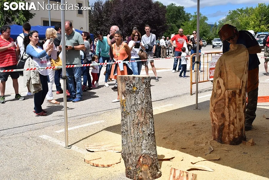 Foto 2 - Galer&iacute;a: miles de personas en la Feria Tradicional de Almarza
