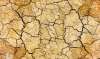 Foto 1 - Más de 600.000 hectáreas de herbáceos CyL están afectadas por la sequía