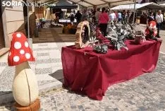 Foto 46 - Galer&iacute;a: miles de personas en la Feria Tradicional de Almarza