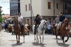 Foto 27 - Galer&iacute;a: miles de personas en la Feria Tradicional de Almarza