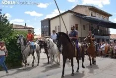 Foto 24 - Galer&iacute;a: miles de personas en la Feria Tradicional de Almarza