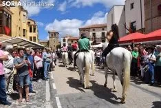 Foto 18 - Galer&iacute;a: miles de personas en la Feria Tradicional de Almarza
