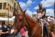Foto 11 - Galer&iacute;a: miles de personas en la Feria Tradicional de Almarza