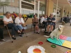 Una imagen de la jornada este viernes. /SN