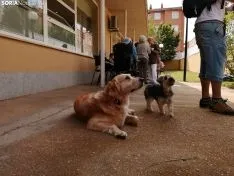 Una imagen de la jornada este viernes. /SN