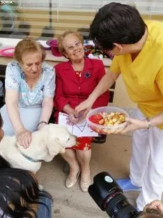 Una imagen de la jornada este viernes. /SN