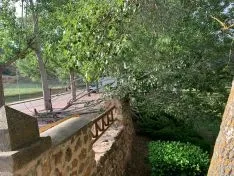 Foto 3 - El vendaval de esta tarde en Soria se salda con da&ntilde;os en &aacute;rboles