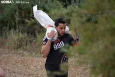 Numantian School Race 2019.