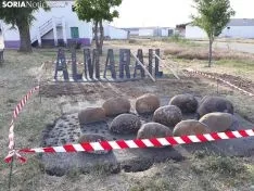  @Almarail