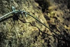 Foto 6 - Turismo de acero y de aventura: V&iacute;a Ferrata La Graja en Duruelo