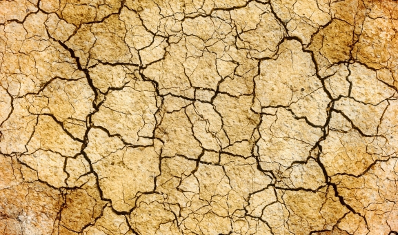 Más de 600.000 hectáreas de herbáceos CyL están afectadas por la sequía