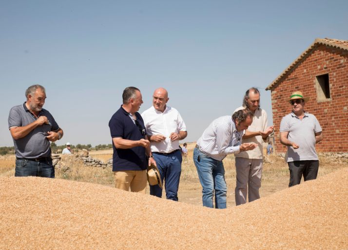 La sequía reduce la cosecha de cereal en Soria y El Burgo un 20%