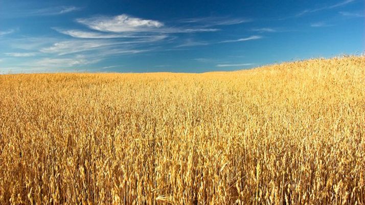 Itacyl y Cetece colaboran en proyectos para la mejora del sector de transformación de cereales