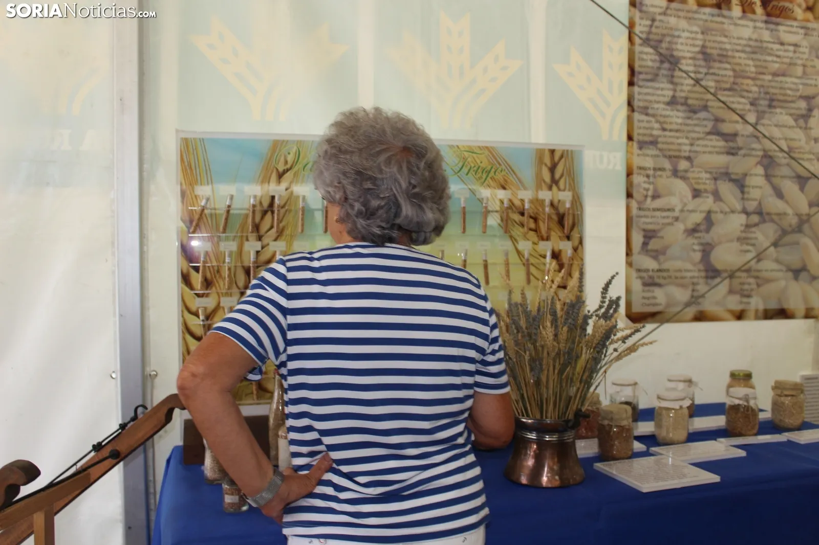 Fiesta del Pan en San Pedro Manrique. SN