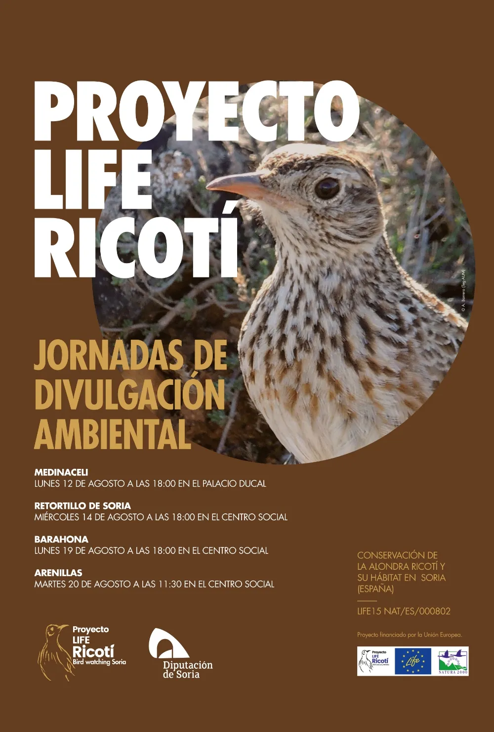 Foto 2 - El lunes arrancan en Medinaceli las charlas provinciales sobre la alondra ricot&iacute;