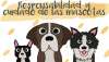 Foto 1 - Mascotas y convivencia centran las campañas de educación ambiental del Ayuntamiento de Soria