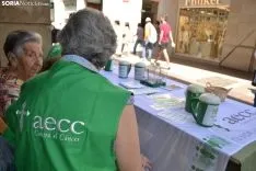Foto 4 - Cuestaci&oacute;n contra el c&aacute;ncer