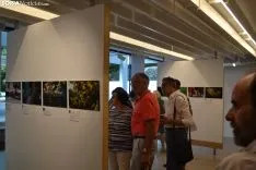 Expoesia 2019. SN