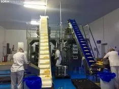 Artefritas