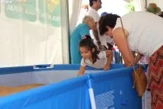 Fiesta del Pan en San Pedro Manrique. SN