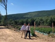 El presidente de la Diputación, Benito Serrano, ha visitado hoy las primeras cinco hectáreas de frambuesa que comienzan a dar sus frutos gracias al proyecto impulsado por ASFOSO. Diputación de Soria