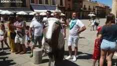 Clase de Toreo de Salón en El Burgo de Osma