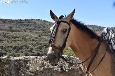 II Jornada Medieval de Magaña.