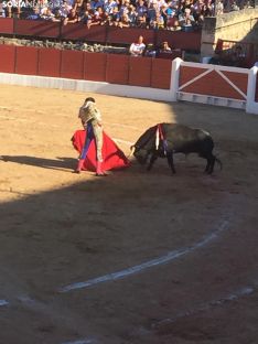 Foto 3 - Más fiesta que toros en El Burgo