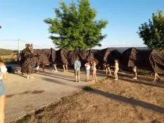 Fiestas de Hinojosa.