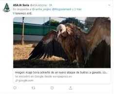 La jornada en twitter