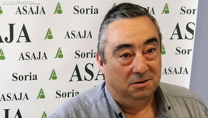 Carmelo Gómez, presidente de ASAJA este miércoles. /SN