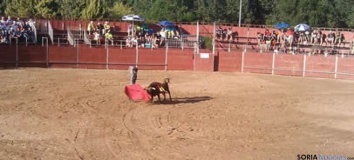 Festival taurino en Berlanga de Duero con los matadores Alberto Álvarez y Paul Abadia Serranillo