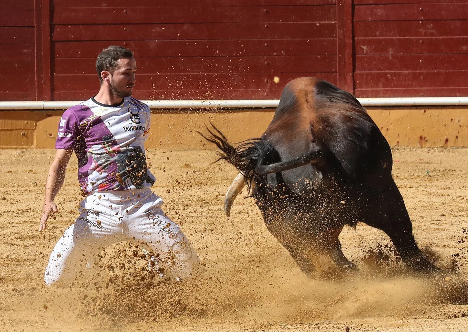 Foto 10 - J. P. Villanueva 'Aguilucho', campe&oacute;n del Concurso Nacional de Recortes de Soria